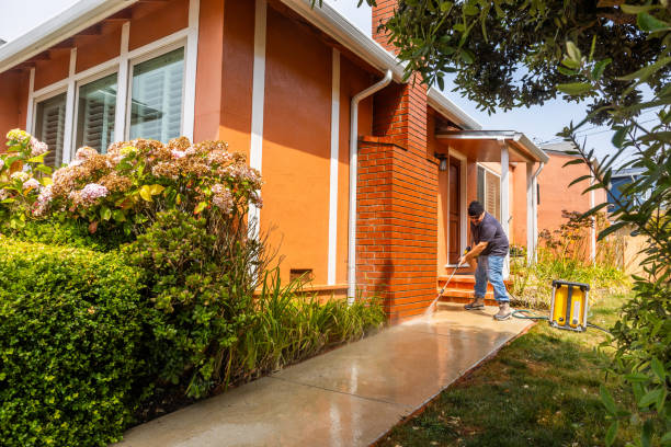 Best Affordable Power Washing  in Lake Elmo, MN