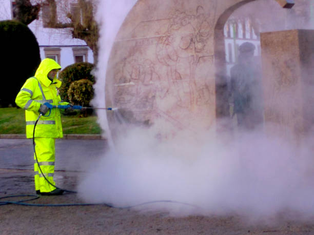 Best Roof Power Washing Services  in Lake Elmo, MN