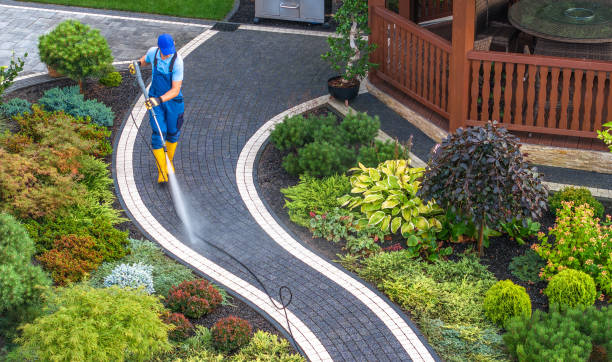 Best Local Pressure Washing Services  in Lake Elmo, MN