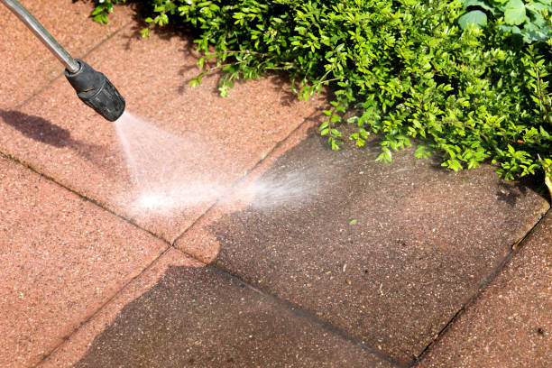 Best Power Washing Near Me  in Lake Elmo, MN